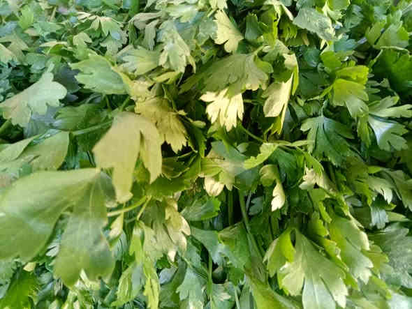 صلو على الحبيب قلبك يطيب

بسم الله ماشاء الله
خيرات اليوم السبت 2025/11/22

#يوجدلدينا #خدمة #توصيل #كافت #مناطق #ابوغريب

اتصل يوصلك طلبك اباب بيتك

الفرع الاول خرنابات شارع السچه 

***********///***********

#يوجدلدينا #دجاج #ذبح #عراقي

#اسعار #الخضراوات
فجل احمر 250
فجل ابيض 250
اشبنت 250
كزبره 250
حلبه 250
سلك 4/1000
اسبيناغ باكه 750
خضراوات مشكل  10/1000
طرشي امزيت منوع 5000
طرشي مشكل عادي 2500
طرشي عمبه كيلو 3000
خل اسود اصفر ابيض 1000
يتوفر لدينا جبن عرب كيلو 5000
