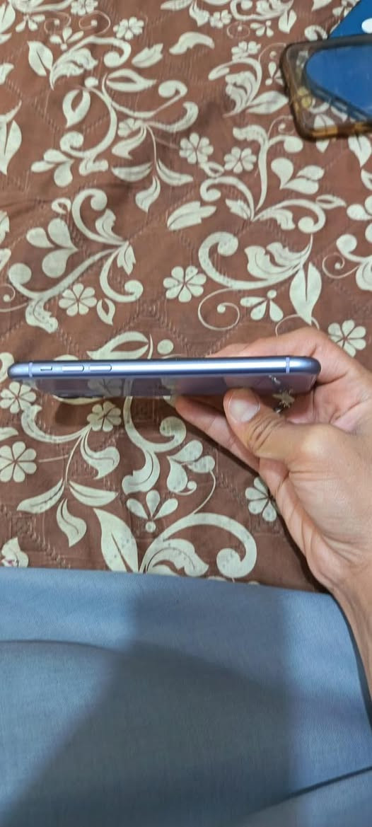 سعر خاص/جهاز ايفون 11 عادي الجهاز بطاريته 100 الجهاز الشركه مبدله البطاريه شرط اغطه بل ماي كدامك ما علي شي الجهاز زلغ ما بي ما مبدل لي اي شي غير البطاريه وشركه مسويته يعني ما يبين مبدل ويا كفرين وراسيه اصليه مال شاحنه/+964 788 253 9123


**إذا كنت صاحب هذا الإعلان وتريد حذفه لأي سبب، رجاءا أرسل رسالة إلى الدعم الفني**