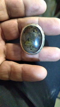 شجريه • راقي • مصور واضح