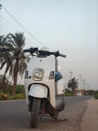 بوليس نوزل • جديدة • سوق الشيوخ