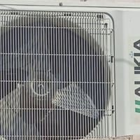 سبلت طنين للبيع تواصل خاص07727097962