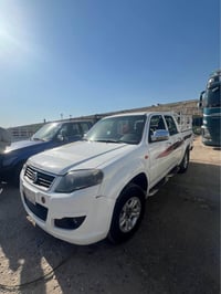 بيكب سكاي • ٢٠١٢ • كركوك