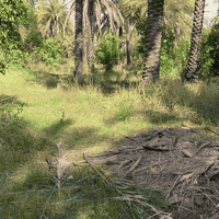 السلام عليكم 
ارض دونمين الوجه 36
طابو ملك صرف 
بغداد المدائن قرب شارع سيد علي 
***********
