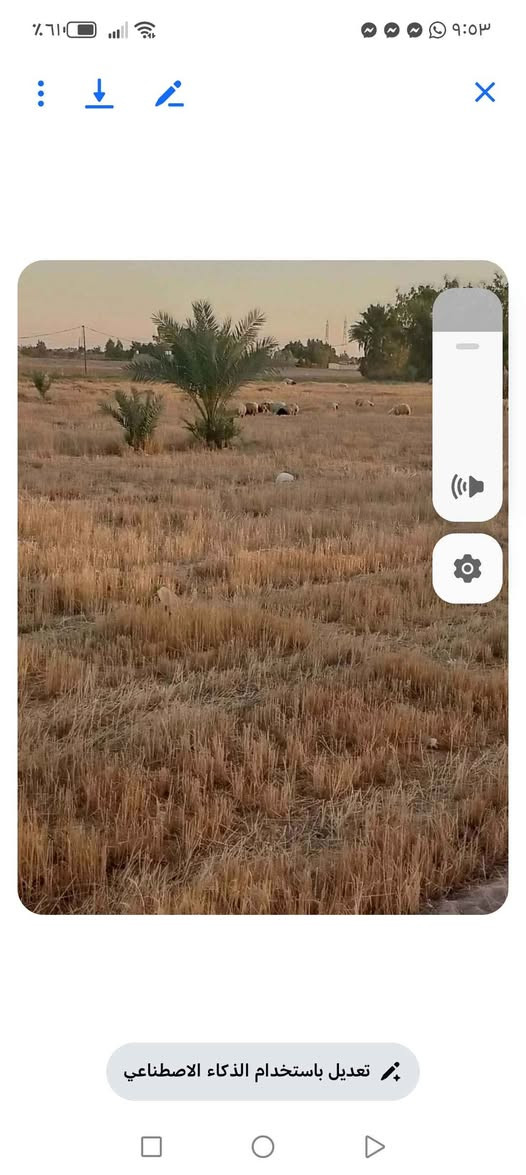 ‎‏سلام عليكم
بستان للبيع المساحه  ٦ دونم  عقد زراعي قرار 117 .
تحتوي على اشجار مثمره من النخيل والسدر‎ النجف, العراق


**إذا كنت صاحب هذا الإعلان وتريد حذفه لأي سبب، رجاءا أرسل رسالة إلى الدعم الفني**