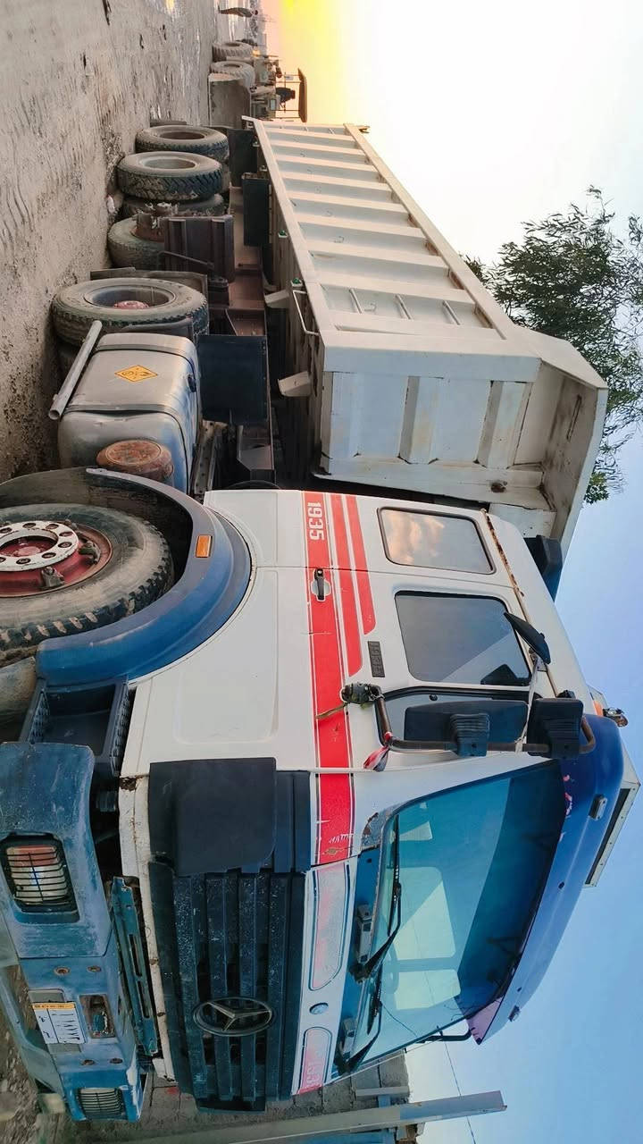 نساف البي كرواتي للبيع
***********
