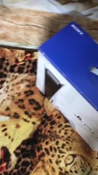 فايف • مستخدم ٥ مرات • الشرطه الخامسه