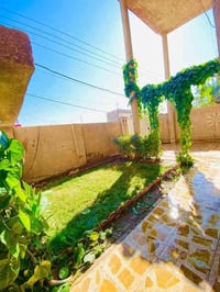 سامراء مدخل الخضراء • بيت تجاري • ٢٥٠م