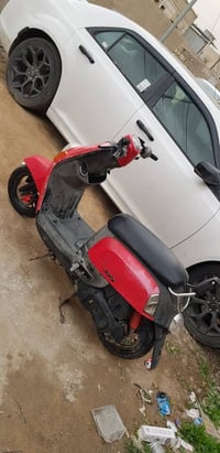 بوليس كفالة عامة ممفتوحه كابريتر 550 مكان بغداد السيدية 07735446597