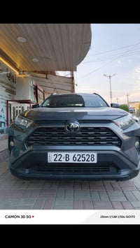 راف فور • ٢٠١٩ • مكفوله من الصبغ