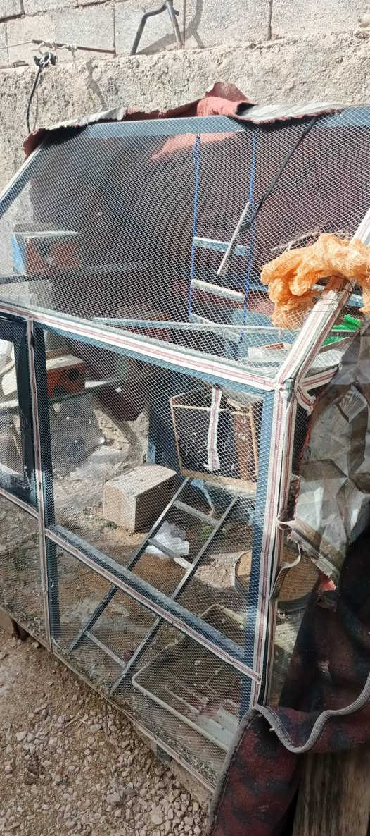 السلام عليكم قفص للبيع كامل ويا الخانات قفله 50 الف مكان راوه توصيل داخل راوه فقط الطوب متر ونص يطبع والعرض متر بي فقط اضرار شك جوه وشك فوك بكد جف ليد


**إذا كنت صاحب هذا الإعلان وتريد حذفه لأي سبب، رجاءا أرسل رسالة إلى الدعم الفني**