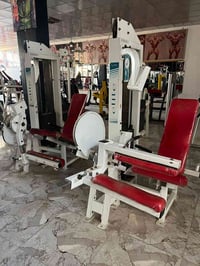 سيقان أمامي وخلفي • أمريكي • الديوانية