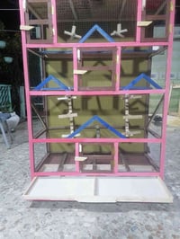 قفص • جديد • سماوة