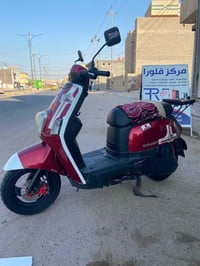 ماكس بوليس • نوزل • ٢٠٠٨