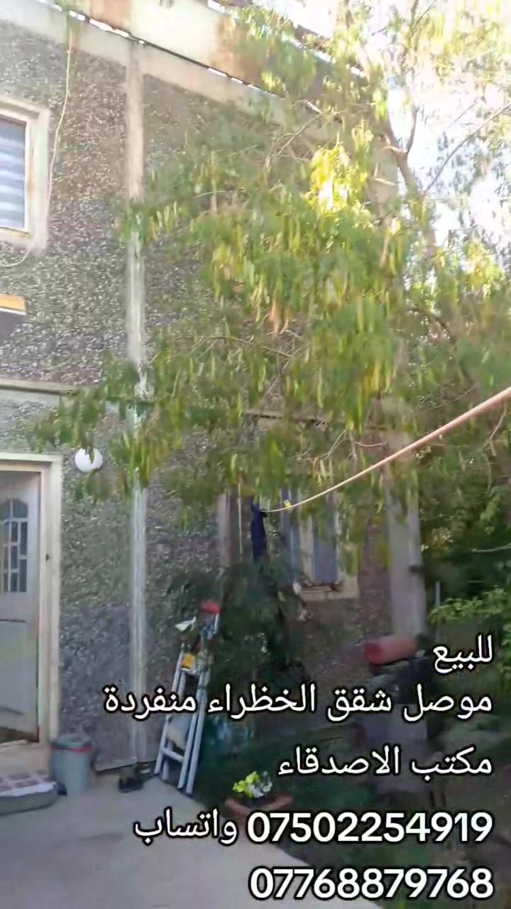 بسعر مناسب 

للبيع شقة منفردة بشقق الخظراء  قرب شارع اربيل 

مساحة 125 متر حديقة فتل 

سند ملك صرف 

مكتب الاصدقاء 

*********** ؤاتساب 

***********

عنوان المكتب سايدين الاركان قرب روضة الاماني 

                    او بصف حلويات التقوى
