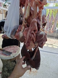 قصابيه اركان الهدى • معلاك غنم • كربلاء حي النقيب