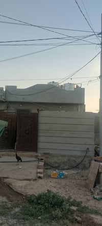 مشتمل • ١٢٥م • بل اخلف الخضر