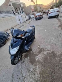 سكنس فحل للبيع مكاني البياع سعر 400بيهه مجال     07723052445