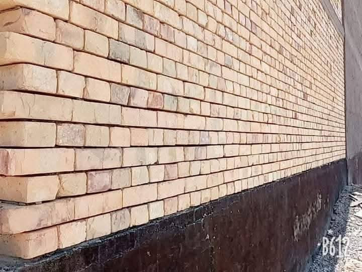 سيد علي ***********
