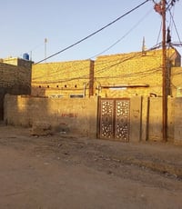 الديوانية منطقة الحمد • ١٠٠م • زراعي سند٢٥