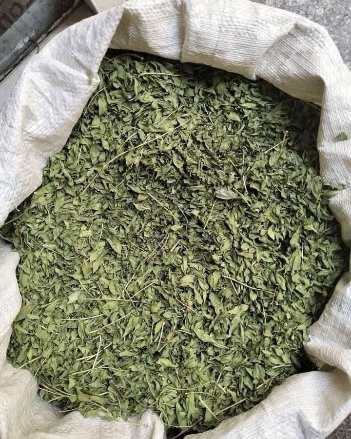 ماشاء اللّــه 

حـنة الفـاو

نقطفهـا
ننظفهـا
نجففهـا 
نطحنهـا
نفلتـرها
ونعبيهـا 
ونشحنهـا لكم بكل حُب 💚💚
وصلتني فقط 10 كيلوات 
عند الحجز يوصلكم كيس أعشاب يحتوي ع أكثر من 20 عشبة لعجن الحنـة هدية


**إذا كنت صاحب هذا الإعلان وتريد حذفه لأي سبب، رجاءا أرسل رسالة إلى الدعم الفني**