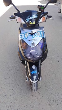 سكنس فحل ياباني البيع او مراوس واخض فرق مكفول شلعه ومعدل فول بغداد مدي...