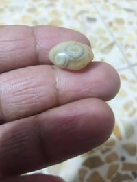 للبيع • هاي وحدة • بيه عيون