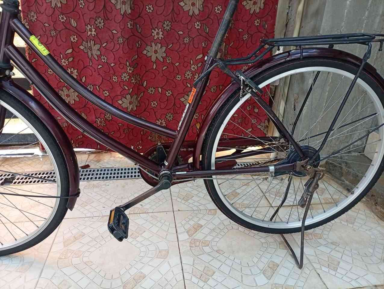 السلام عليكم بايسكل للبيع  حجم 26 ماروني اب 125وبي مجال  الشطره الحولي قرب حسينية نبي الرحمه


**إذا كنت صاحب هذا الإعلان وتريد حذفه لأي سبب، رجاءا أرسل رسالة إلى الدعم الفني**