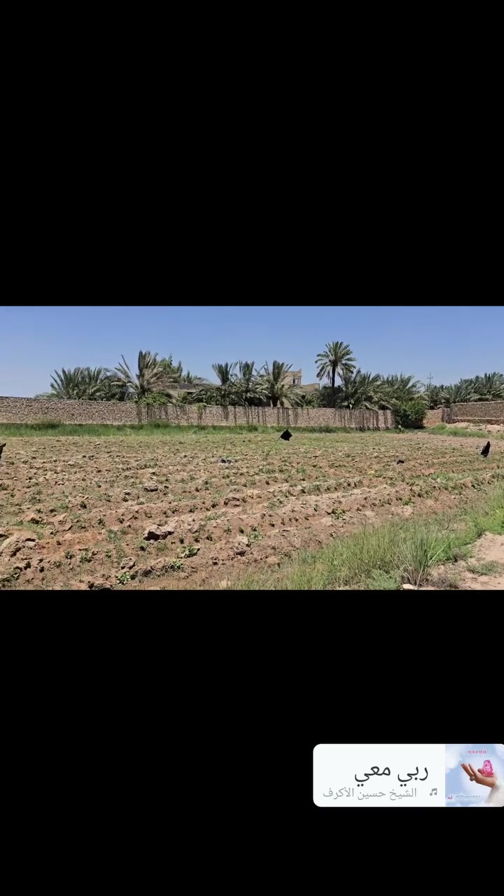 أرض زراعية للبيع 

🔴 التفاصيل 

🔹️ مطلة على شط الكوفة 
🔹️ على الشارع العام 
🔹️ العرض 25 متر 
🔹️ النزال 100 متر 
🔹️ مساحة الأرض الكلية 1 دونم 
🔹️ مسيجة بالكامل 
🔹️ طابو زراعي سند 25 
🔹️ متوفره جميع الخدمات 

🔴 السعر 200 مليون 

🔸️الموقع : الكوفة شارع ال عيسى 
 
للتواصل والاستفسار 
***********
***********
