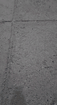 السلام عليكم خدام الامام الحسين ع قاعه حديد مال مجالس العرض 10 امتار والنزال 16 متر والارتفاع 5 امتار  قاعه كامله منصوبه مجلس واحد السعر خاص للاستفسار الاتصال على الرقم ***********
العنوان بغداد مدينة الصدر
