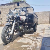 ستوته • ٢٠١٩ • اوراق جاهزه