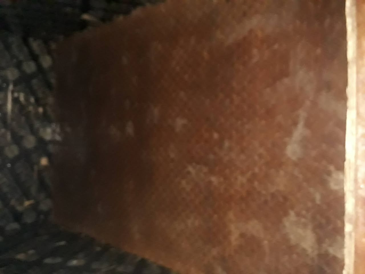 ستوته للبيع جمره بالحله ستوته كلك مقفوله السعر 850    ***********
