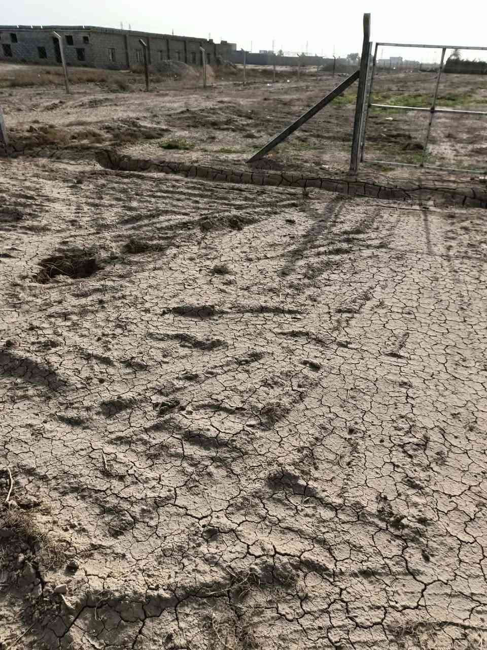 السلام عليكم 
دونمين ونصف للبيع مسيجات  الجبهه 56 قرار 117 الكرغوليه  منطقة اجميله تبعد عن مدرسة نور المشكاة كيلو شارع سبيس عرض الشارع  15 متر ماء والكهرباء قريبات عليهن 
للاستفسار ***********
