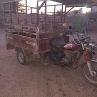 ستوته • مكمر • بلرمادي