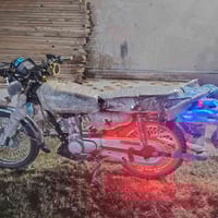 تايگر 2023 • تواير جديدة • الساحل سديرة سفلى