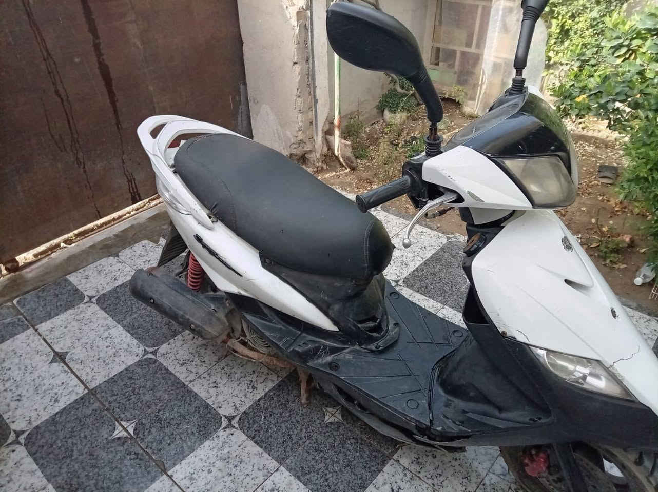 سلام عليكم درجة ثعلب بيع سعر خاص *********** واتساب
