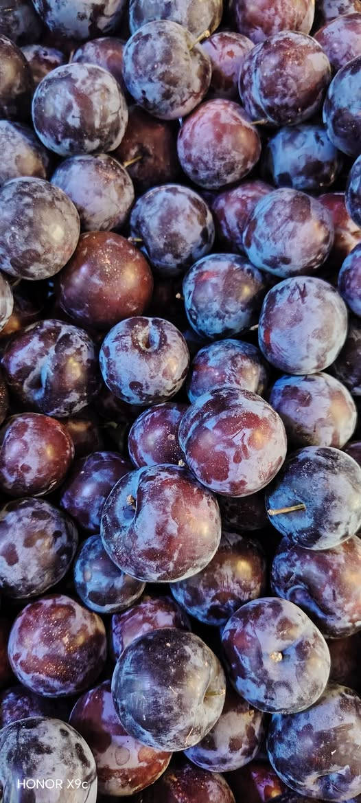 سلام عليكم مسواك اليوم السبت ❤️
نوم  كرز 🍒 3000
ثوم 4000
فلفل مدعبل حلو رفيع 1500
لوبيا فاصوليه خضراء الو صفره سوده 2000
عنب 🍇 موز برتقال 1500
عنب 🍇 خشن  باميه 2500
طماطه خيار بطاطا 🍠 اسود بصل 500 
طرعوز لهانه خضرا حمرا 750
باجلا 1000 
شجر 400 2ونص 1000
كرافس بقدونس جرجير ريحان حمكه 250
سلك 500
@أبرز المعجبين لايك 🥰❤️


**إذا كنت صاحب هذا الإعلان وتريد حذفه لأي سبب، رجاءا أرسل رسالة إلى الدعم الفني**