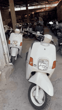 معرض سكنس يقدم الكم انواع السكانس المزالياباني والكوري المزود والبلادي واكزز خبط واكزز Z ياباني وكوري 
وماجستا S الياباني والكوري والبوليس الكريمي والببغاء والفله 
بأدراة فقوري ***********
الموقع📍الحلة نادر الثانيه شارع الخدمي
