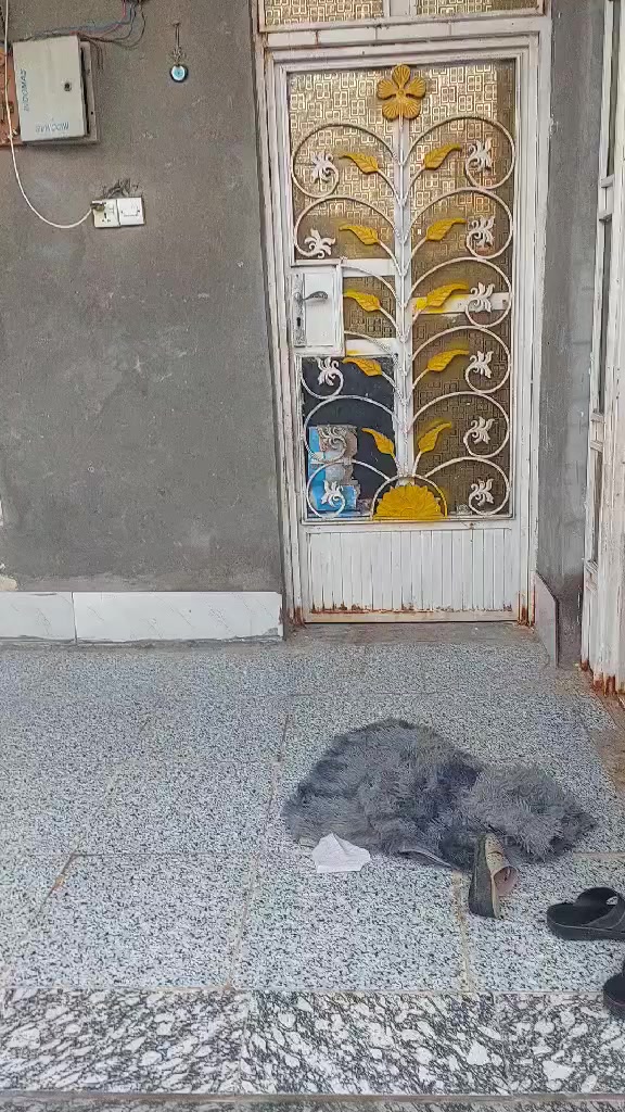 بيت بل دونمات اول ما تنزل من الحولي تمشي تقريلن ٥٠٠ متر بيت ثاني بيت على شارعه مقاطع ١٤ يعني اكو كهرباء ماء مجاري مجاري امطار بس تبليط بعده يشتغلون بيه تنزل من صيدليه على الحولي نفس شارع اول فرع على دوانم اول  بيت بصفي قطعه فارغه شراي دخلي خاص وتدلل


**إذا كنت صاحب هذا الإعلان وتريد حذفه لأي سبب، رجاءا أرسل رسالة إلى الدعم الفني**