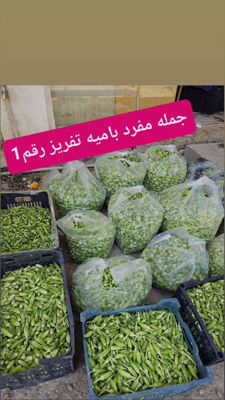 تشكيلة مميزه ومتكامله وكلشي متوفر 
تجي تشوف بعينك وتختار بأيدك 
تريد توصيل يوصلك بسرعه واحسا من الي تختاره 
تكريت القادسية شارع البلاج قرب الصيدليه العالميه 
*********** كل الوقت 
***********مسائا
