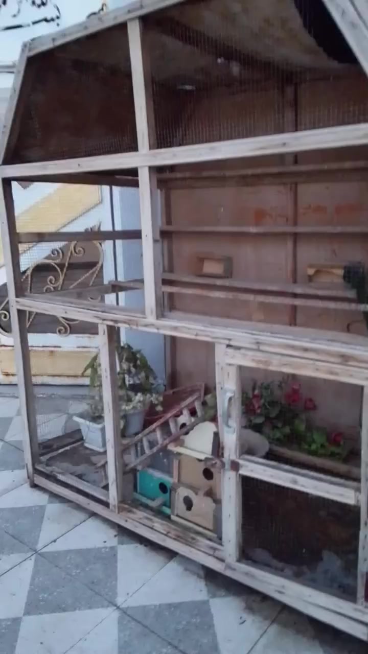 ***********....***********.   سعر 100
