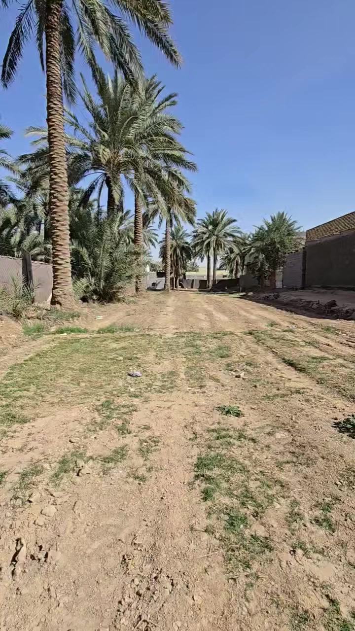 1250 متر  الواجها 18 للبيع
السعر / 110 مليون
طابو زراعي سند ٢٥ تحويل باسم المشتري
كافة الخدمات متوفرة
الموقع / كربلاء الزبيلية منطقه العامرية
للاستفسار :***********/ ***********
#عقارات #كربلاء #facebook #العراق #بغداد
