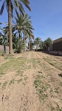 1250 متر  الواجها 18 للبيع السعر / 110 مليون طابو زراعي سند ٢٥ تحويل ب...