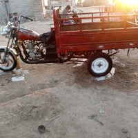 ستوته • شاصيه مكفول • مديل 16