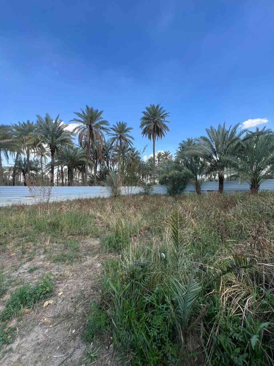 السلام عليكم قطعة أرض للبيع مساحة 200م طهمازية فرع شيخ جمال الاستفسار خاص او على الرقم ***********
