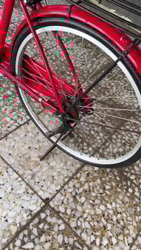 باسكل بلادي • عجلة ٢٦ • السماوه