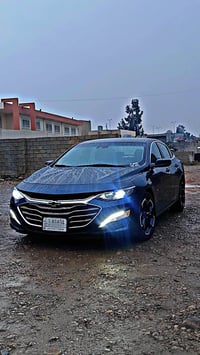 ماليبو • ٢٠١٩ • بدون مصرف