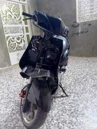 سكنس فحل • نوزل • نكره سلف