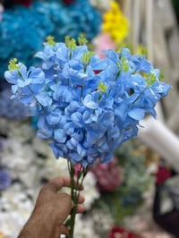 متوفر جميع انواع الورود والاكسسوارات جمله ومفرد  توصيل بغداد وجميع الم...