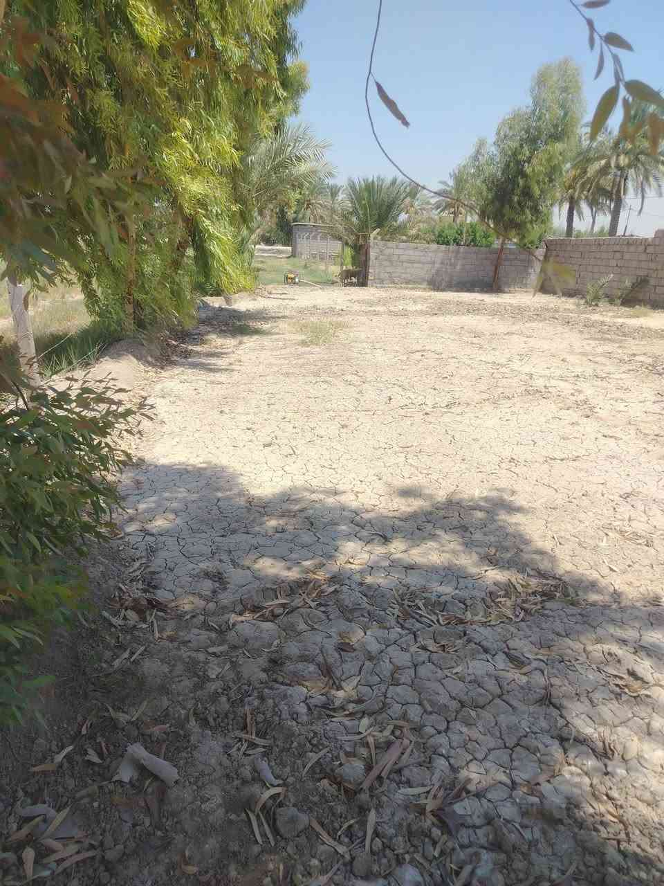 قطعة أرض للبيع المساحه 500 مع الممر طابو زراعي سند 25 يوجد فيها زرع أشجار ونخيل القطعه مسيجه بالكامل مع الدفان العنوان منطقة هوى الشام تبعد عن الشارع العام 3ونص كيلو على طريق حله قاسم متوفر كافة الخدمات كهرباء وماء.... السعر 16 مليون
للتواصل على الرقم ***********
