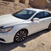 التيما • 2017 • رقم سليمانية